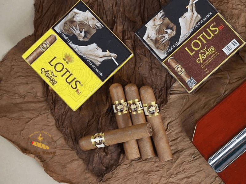 Có Nên Cắt Đôi Xì Gà Không?